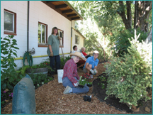 Healdsburg Animal Shelter
Garden Club Volunteers