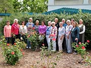 West Plaza Rose Garden Garden revitalized by Club Volunteers