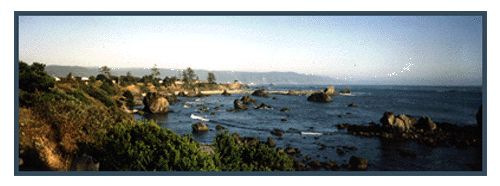 Pebble Beach House view of the Pacific Ocean